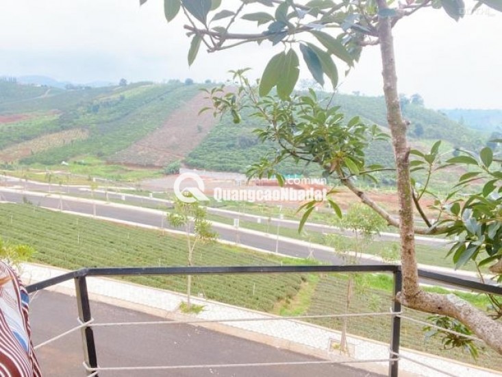 Bán Gấp Nhà Mặt Tiền, Hạ Giá Mạnh - cạnh Làng Pháp Bảo Lộc